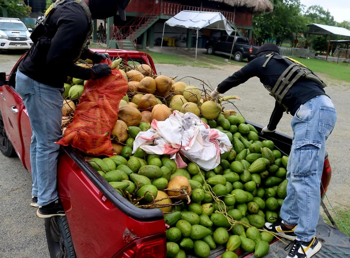 Can detecta algo raro en carga de aguacates y pipas