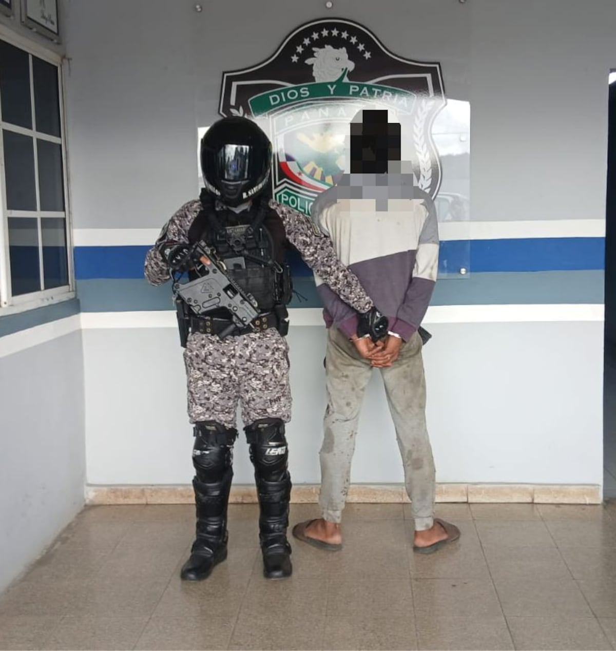 Amordaza a un celador para robar 14 lechones y termina capturado en Chilibre