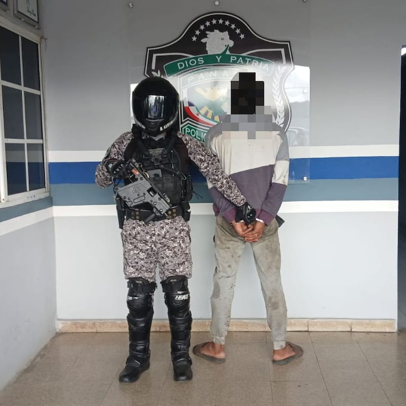 Amordaza a un celador para robar 14 lechones y termina capturado en Chilibre