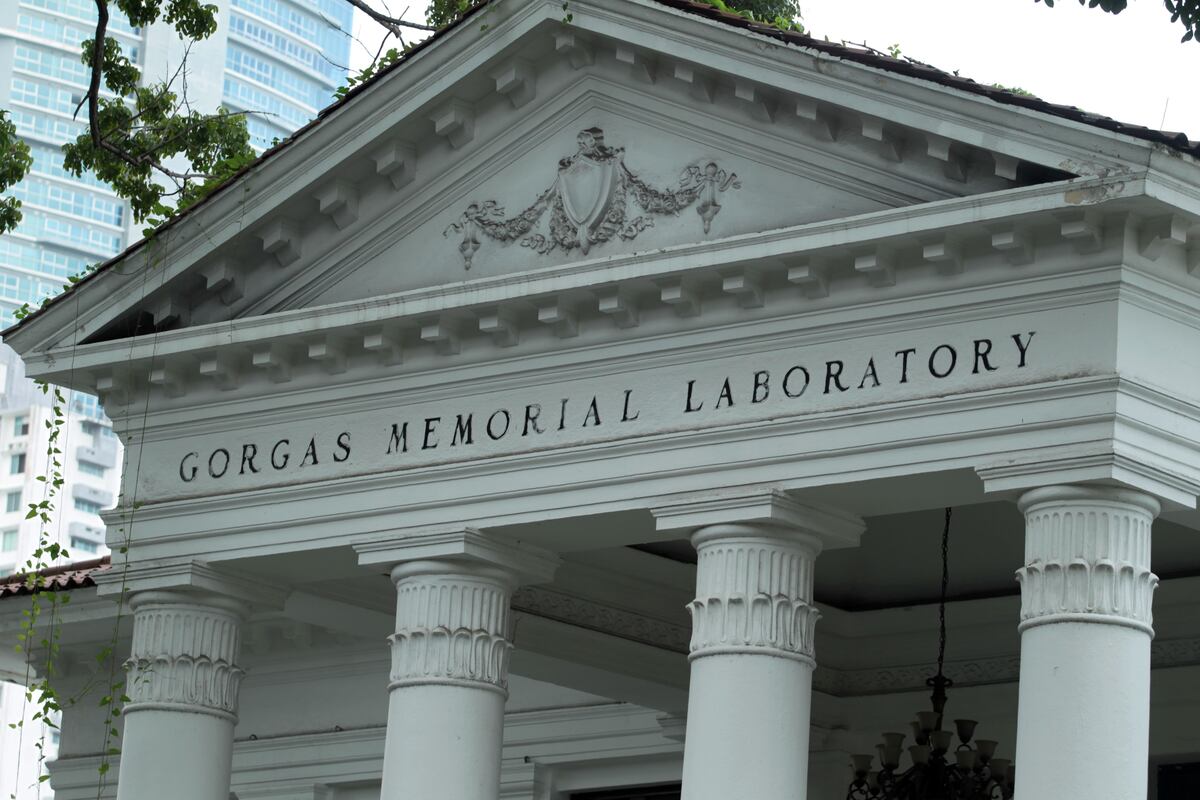 Descubren en Panamá tratamiento menos tóxico contra la leishmaniasis