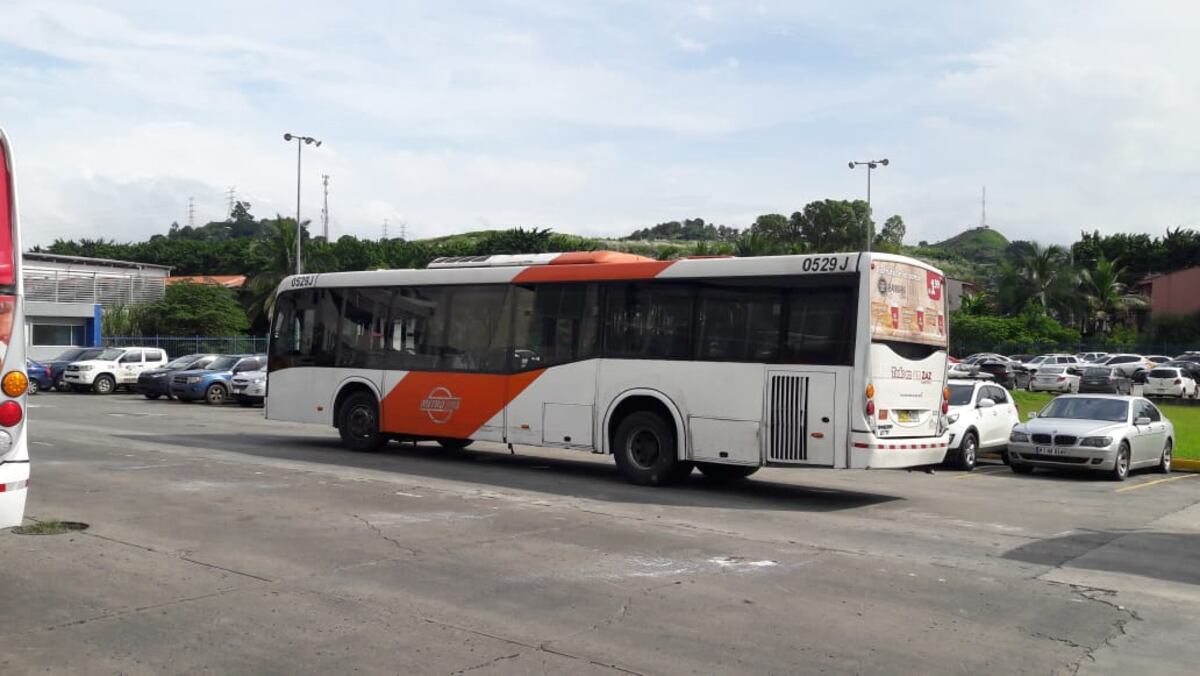 Reportan cucarachas en unidades de MiBus y piden más aseo