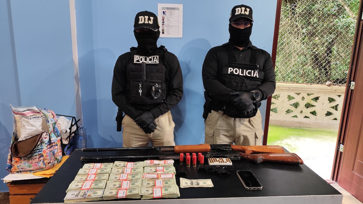 Eros y Colibrí: dos operativos que le cortan las alas al narcotráfico