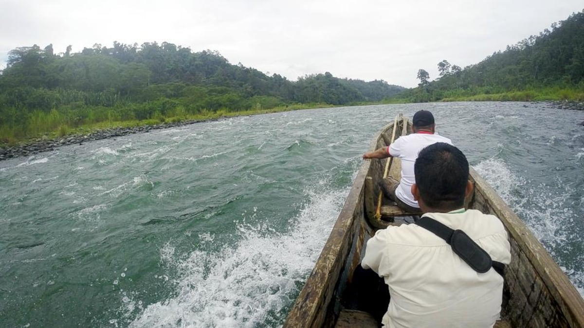 Productores de Bocas del Toro cruzan el río en botes para salvar sus cosechas