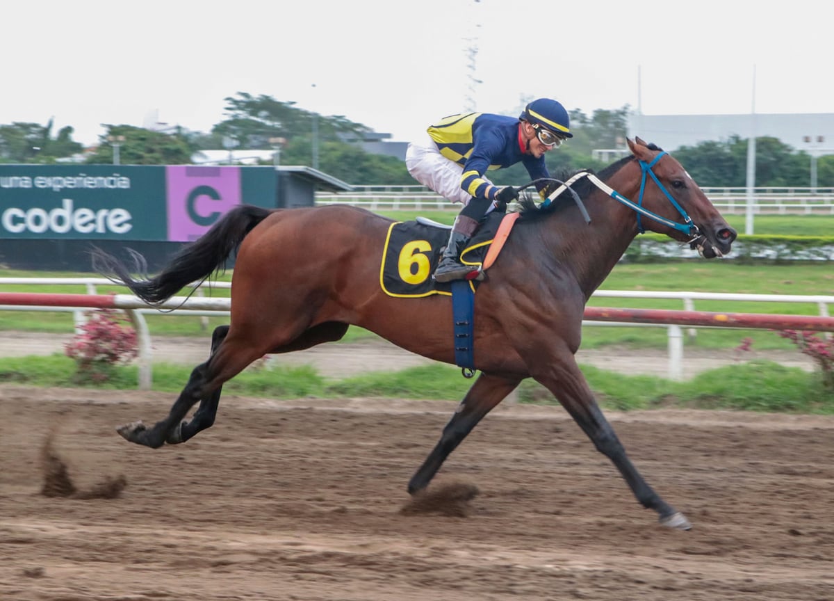 Senescal, Imperante y Eagle In Love: el choque de titanes en 2,000 metros
