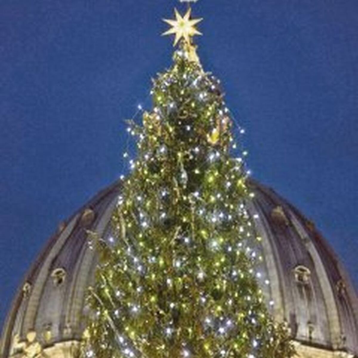 ¡Cuidado! Sigue estas recomendaciones para evitar accidentes eléctricos en Navidad