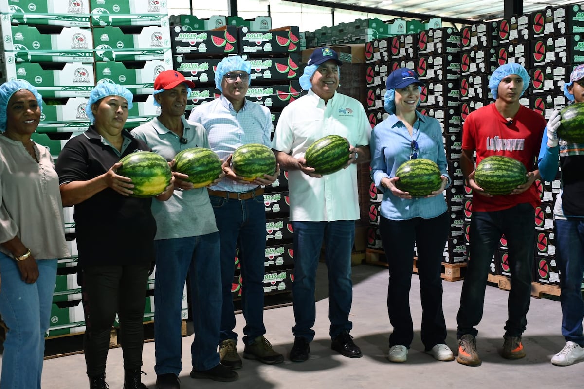 Agroexportación desde Herrera proyecta más de 700 contenedores de sandía y melón