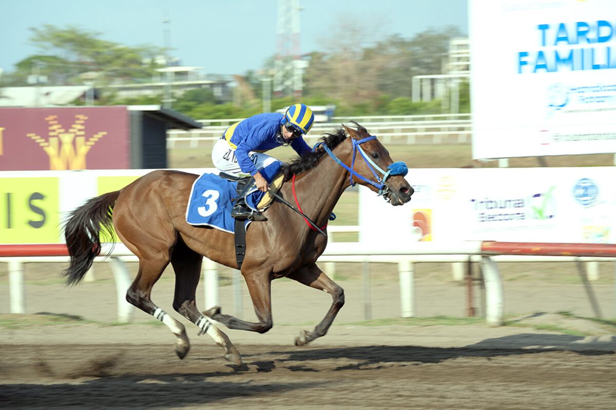 ‘Smart Pearl’ se impuso en el   Premio 'Policía Nacional'