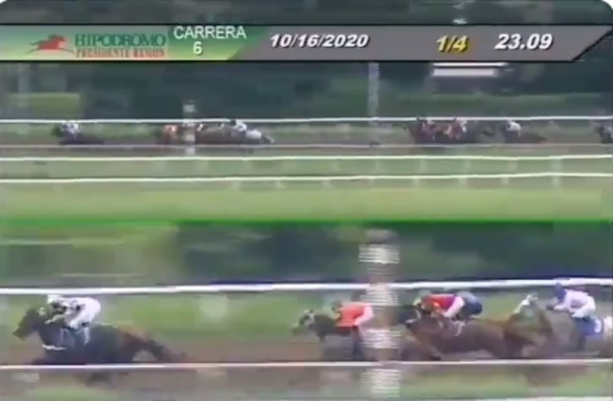 Accidente en el hipódromo. Cuatro jinetes caen en medio de una carrera. Uno de ellos está grave. Video