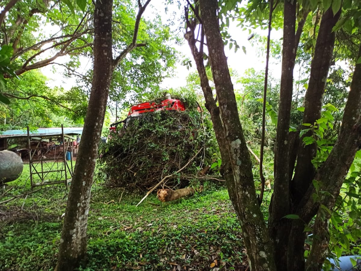 Accidente. Bus de la ruta Aguadulce Panamá se sale de la vía en Panamá Oeste, dejando 5 heridos. Video