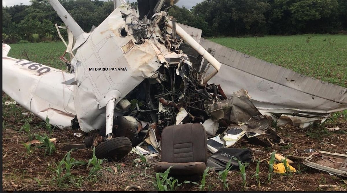 Dos muertos tras estrellarse una avioneta. Hay una sobreviviente. Video