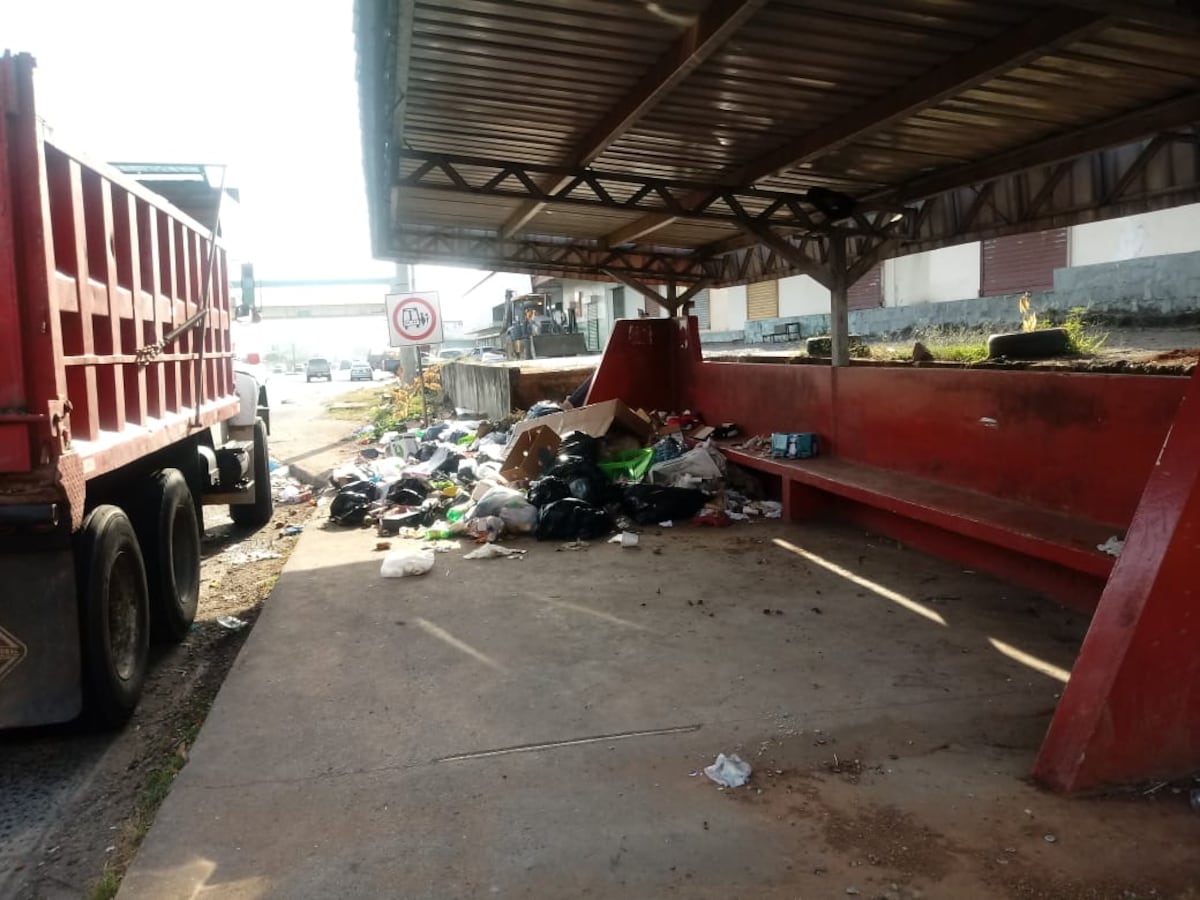 Qué porquería. La basura se los traga en la parada. Te diremos dónde