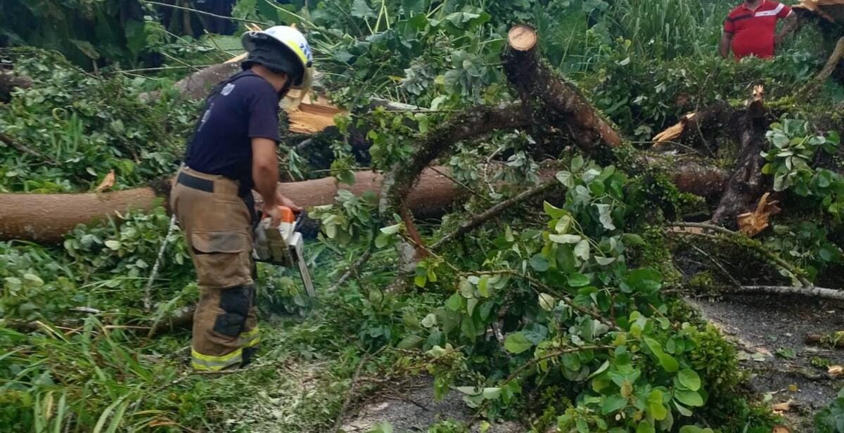 Más de 800 emergencias por lluvia en Panamá: Bomberos advierten sobre riesgos y precauciones