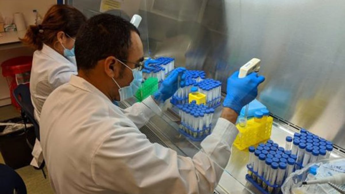 Escenarios como el de Ecuador y China podrían verse en Panamá, si no siguen las instrucciones