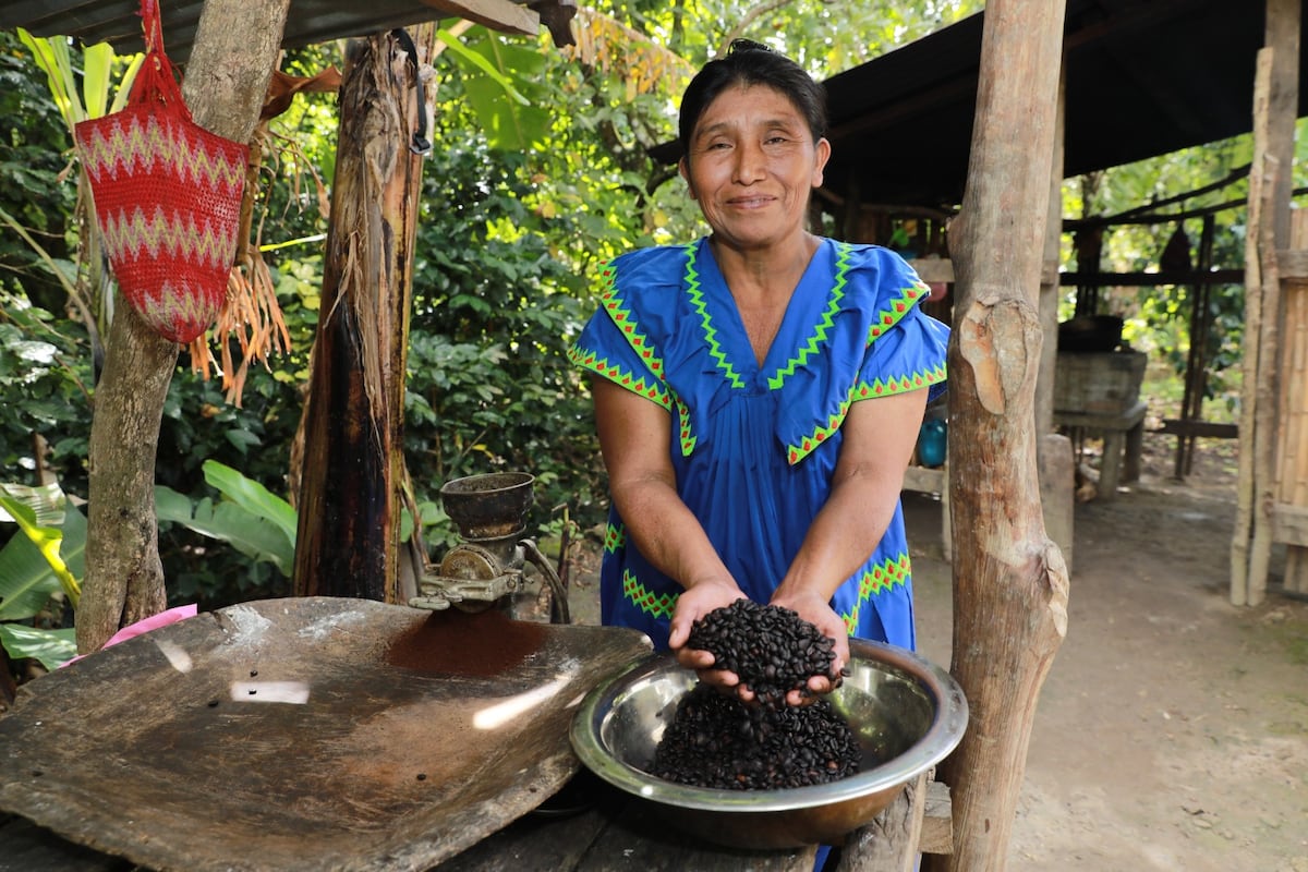 De cafetales a la universidad: la historia de Ilda que está cambiando el destino de sus hijos en la comarca