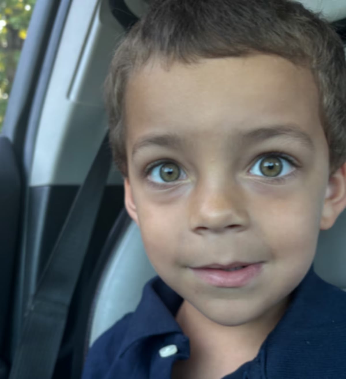 Perro mata a niño de 4 años en Estados Unidos: policías llegaron cuando el animal todavía lo atacaba, pero no lograron salvarlo