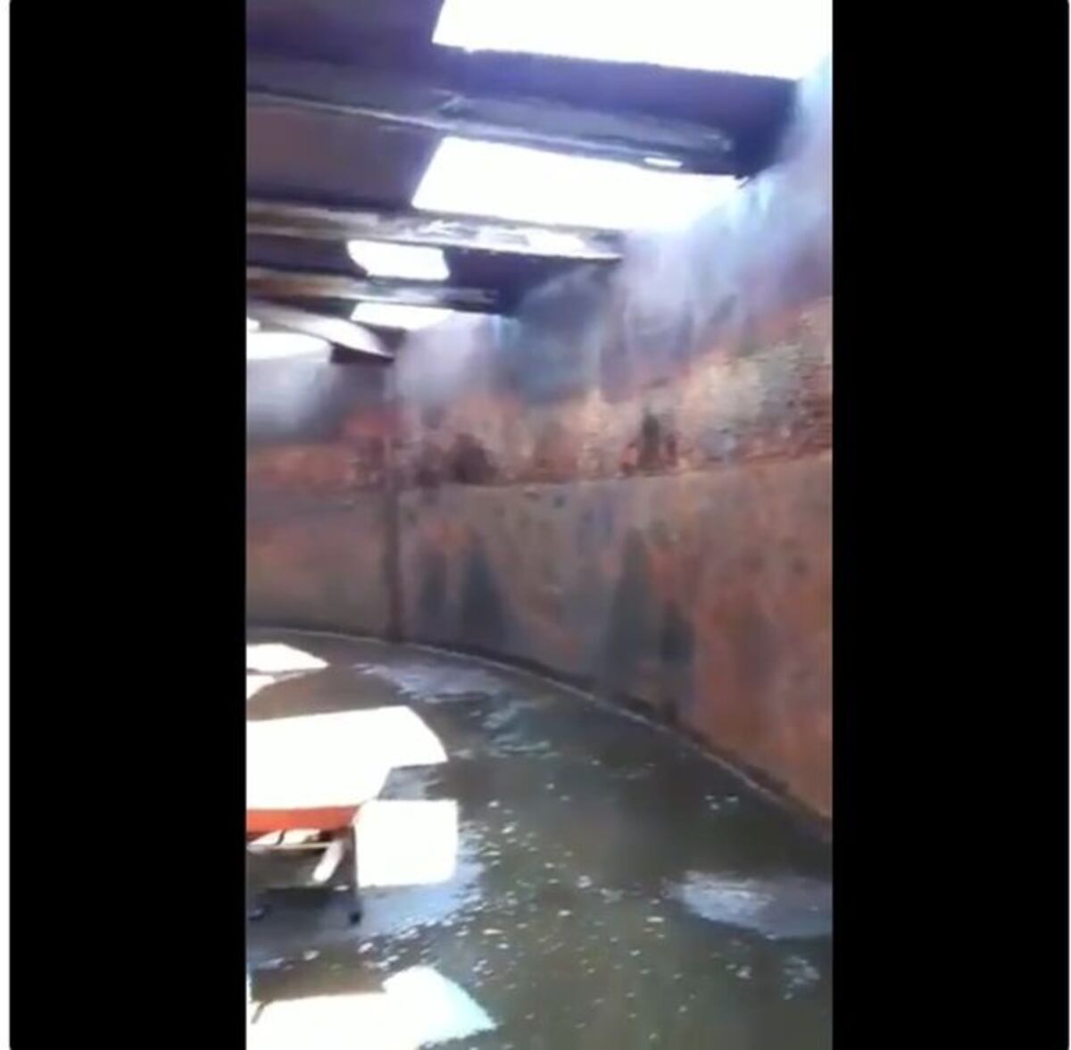 '¡Ay, Dios,¿yo tomaba esto?!' Video de tanque de agua causa alarma en San Isidro