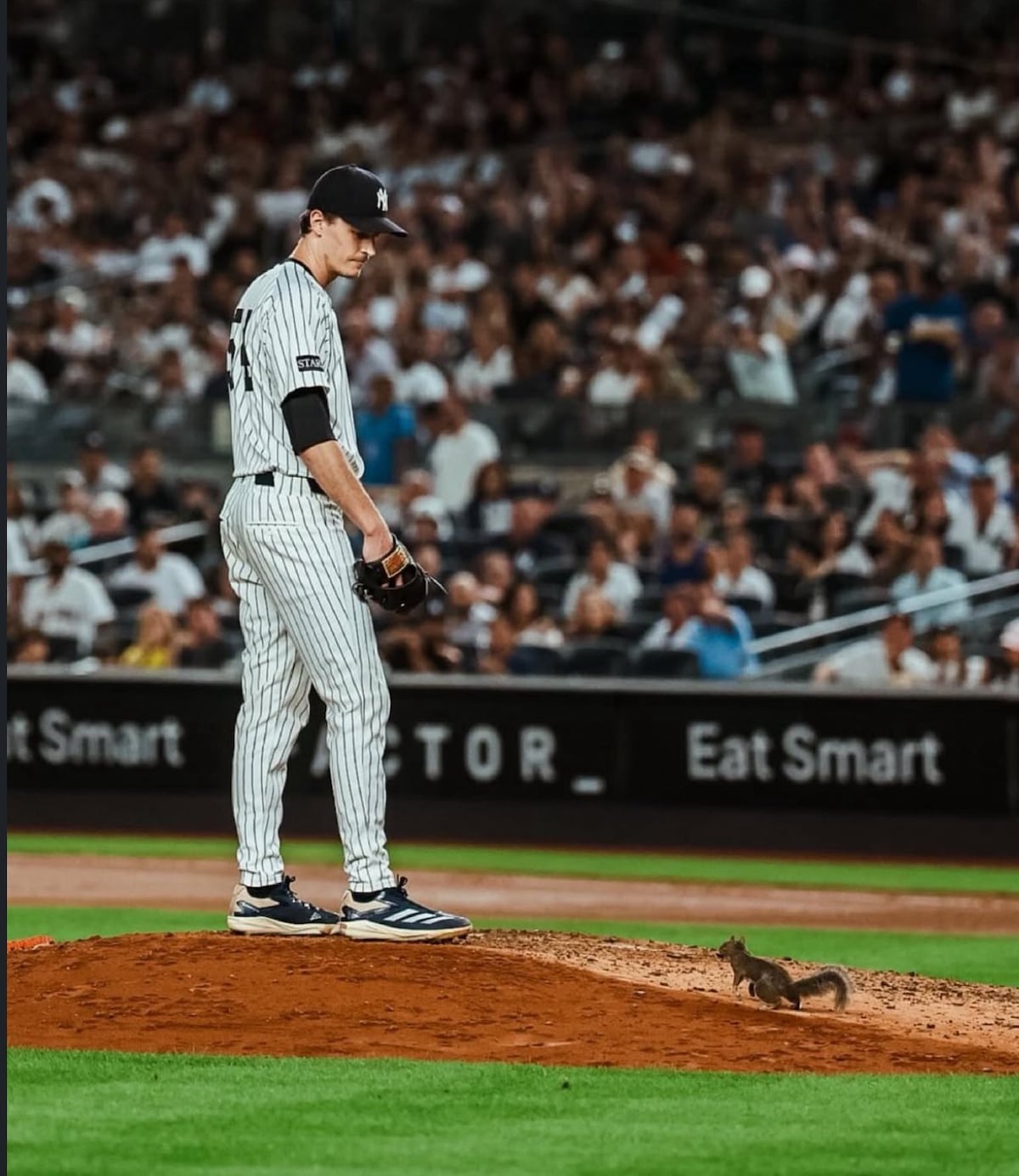 Juego caliente en Nueva York: ardilla interrumpe y Boston hunde más a los Yankees