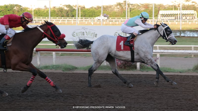 Jinetes y studs aprietan la lucha en la hípica panameña