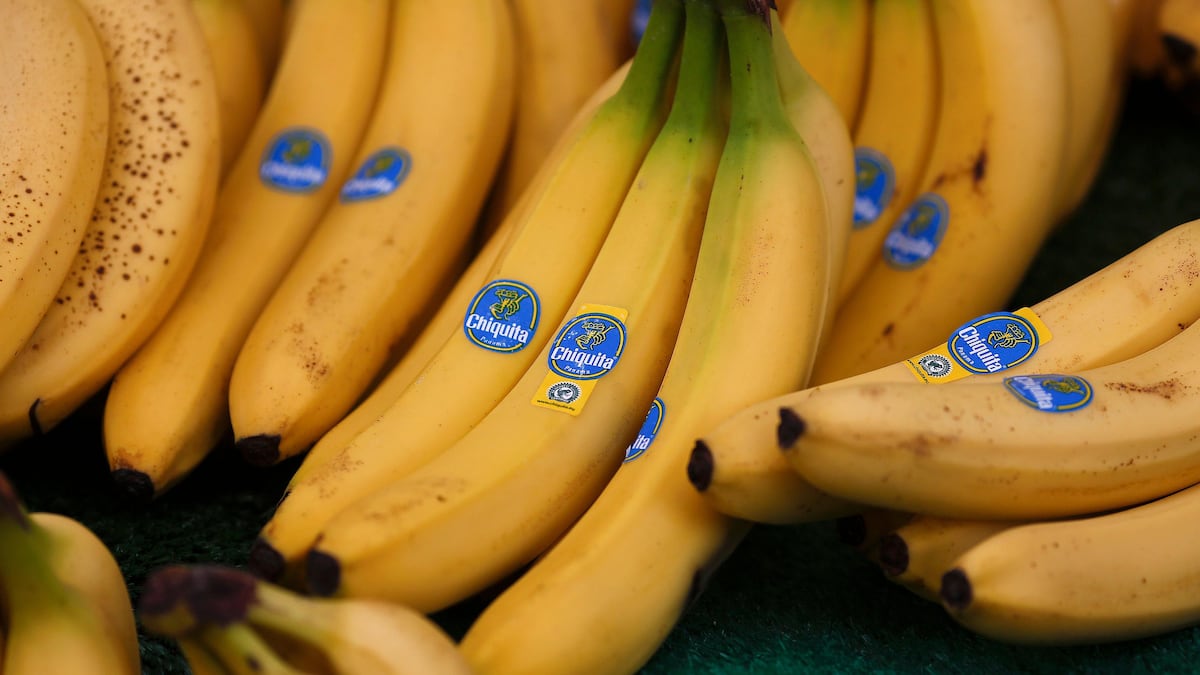 Mulino visita Brasil en busca del regreso de Chiquita