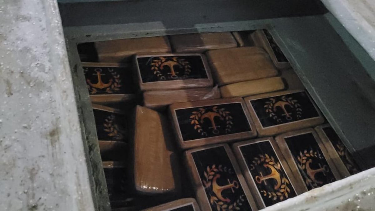 ‘Chuky’, el perro antinarcóticos del Senafront se convirtió en el terror para dos narcos 