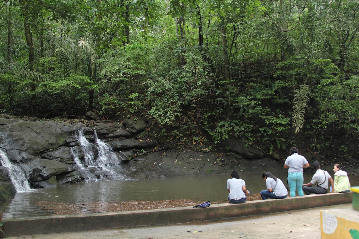 La riqueza natural que Panamá cuida con 18 parques
