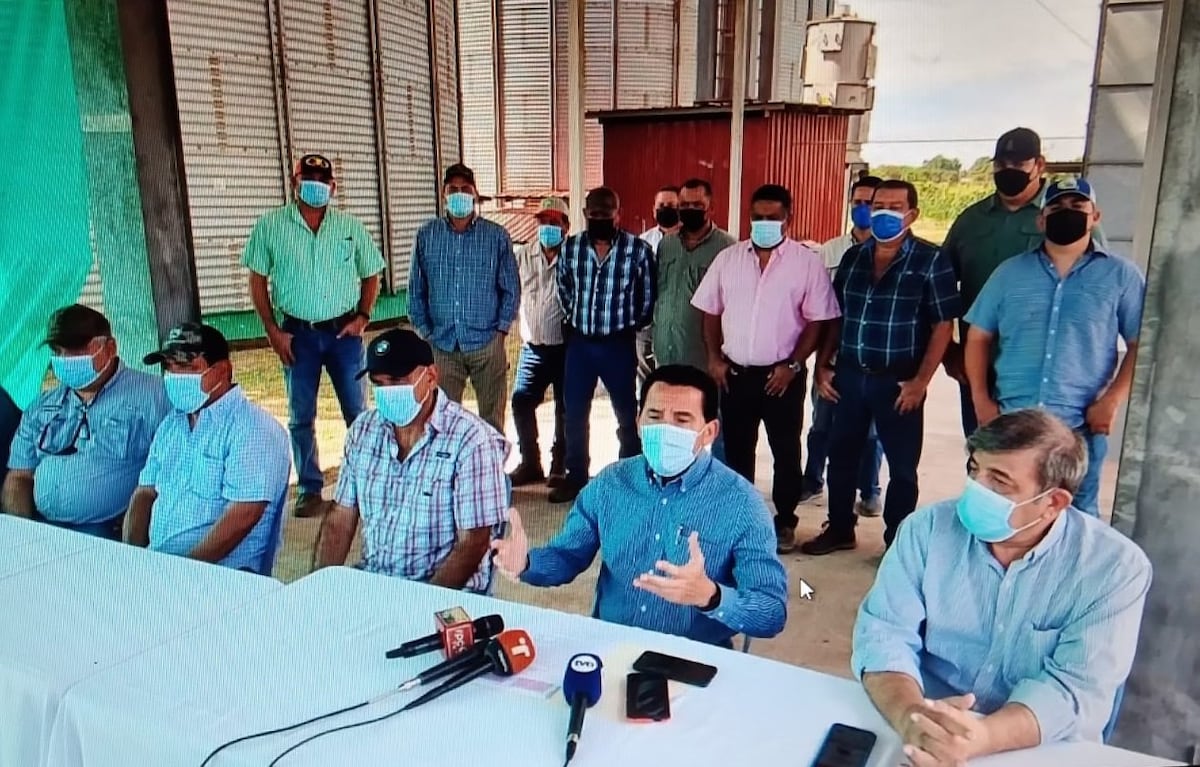 Productores de arroz de Los Santos alertan por incumplimientos en comercialización