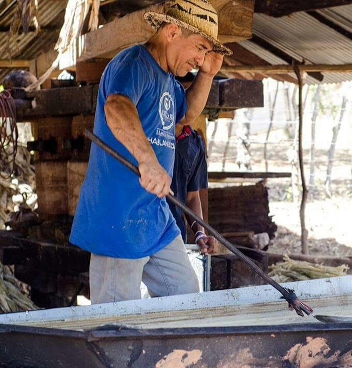 Viene el festival de la panela