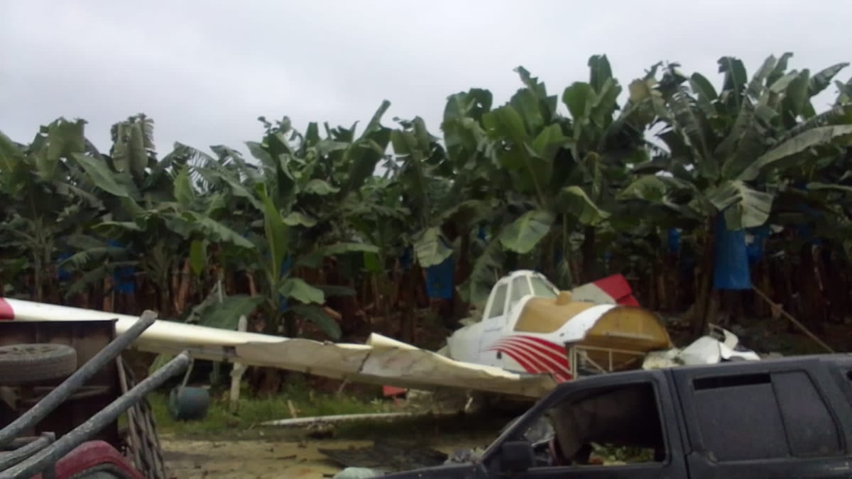Accidente aéreo. Avioneta queda partida en dos. El piloto milagrosamente sobrevive. Una vivienda y 2 vehículos afectados