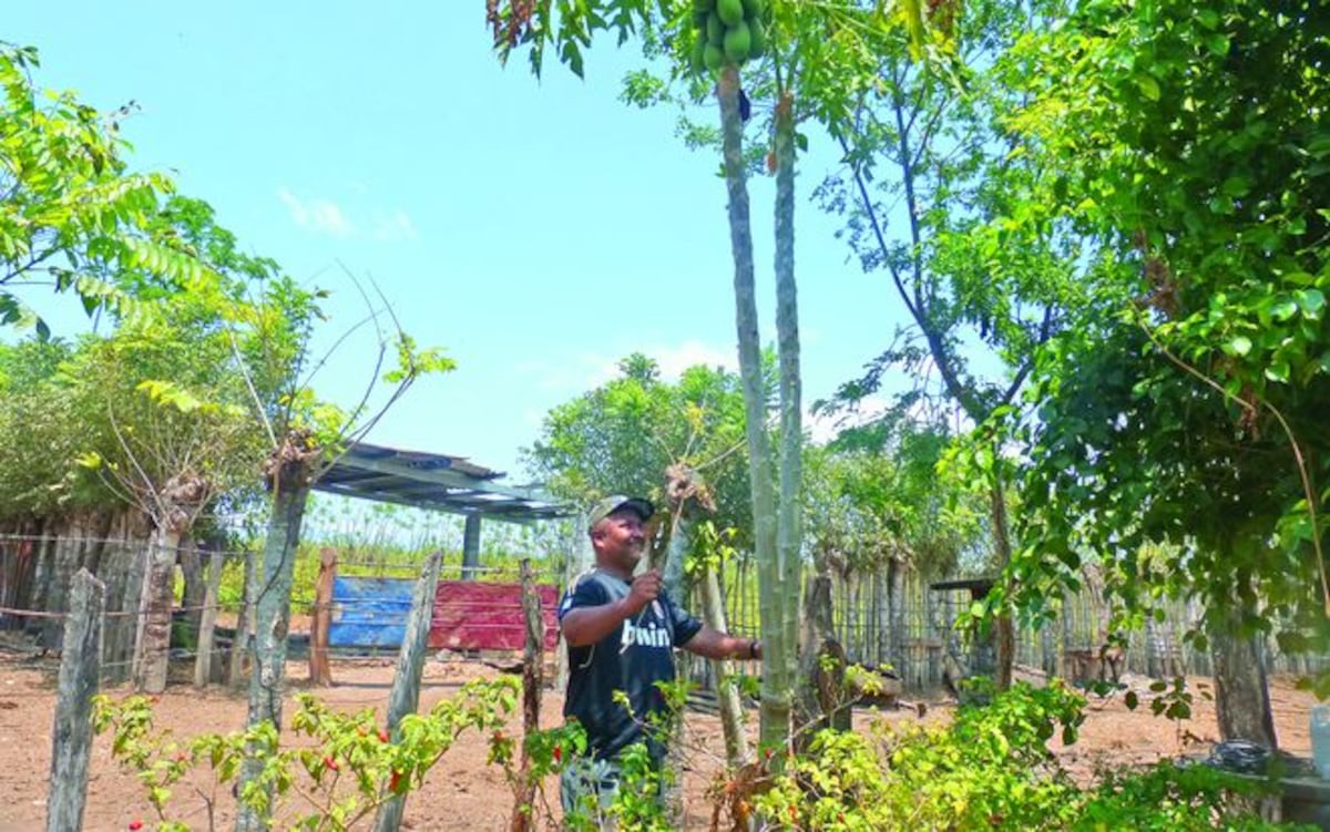 Tradiciones de Semana Santa de antaño desaparecen