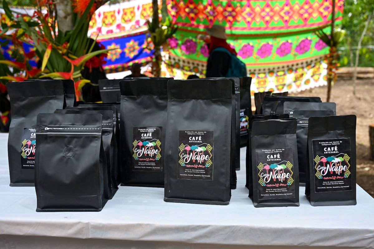 Café y huertos cambian la vida en Cerro Naipe, Darién, el orgullo emberá que llega a tu mesa