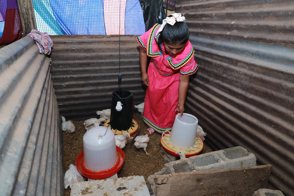 Dos madres Ngäbe vencen la pobreza y se gradúan como profesoras con honores