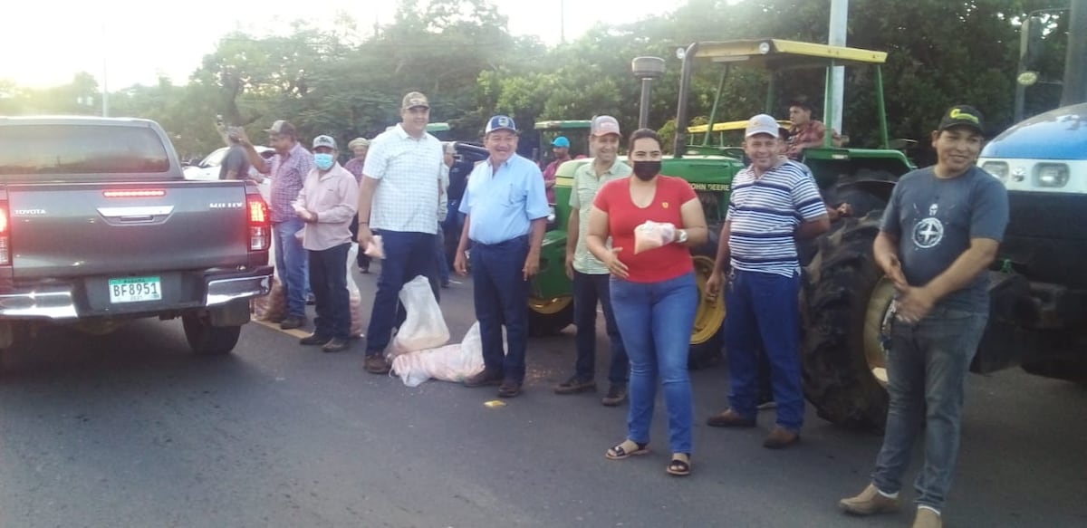 Maiceros se embellacan. Protestan en Los Santos. Video