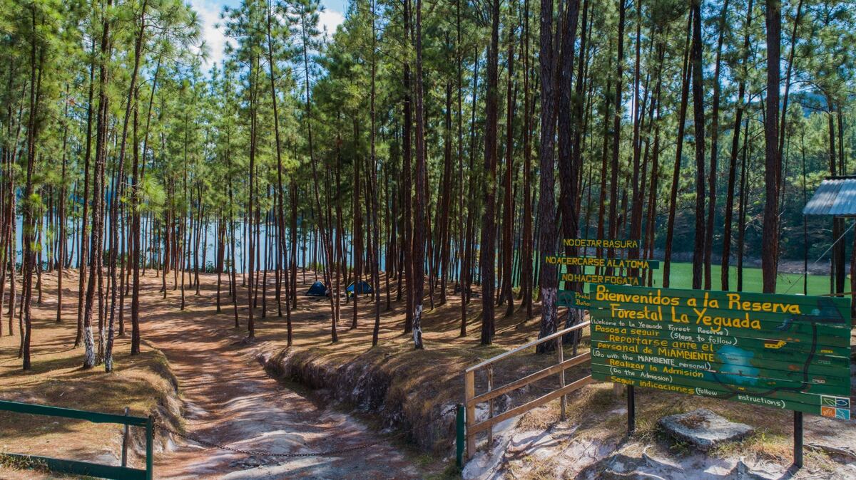 La riqueza natural que Panamá cuida con 18 parques