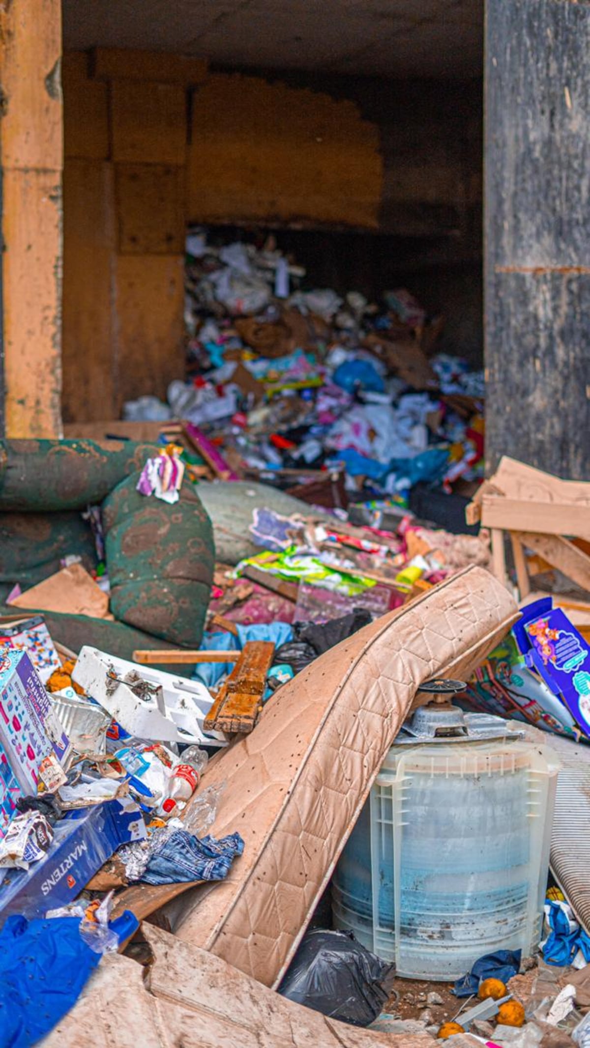 Gusanos, chinches y cucarachas. Judy Meana exhibe la cochinada de Patio Pinel