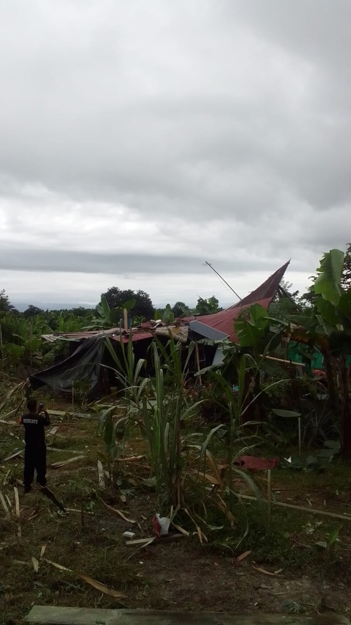 Accidente aéreo. Avioneta queda partida en dos. El piloto milagrosamente sobrevive. Una vivienda y 2 vehículos afectados