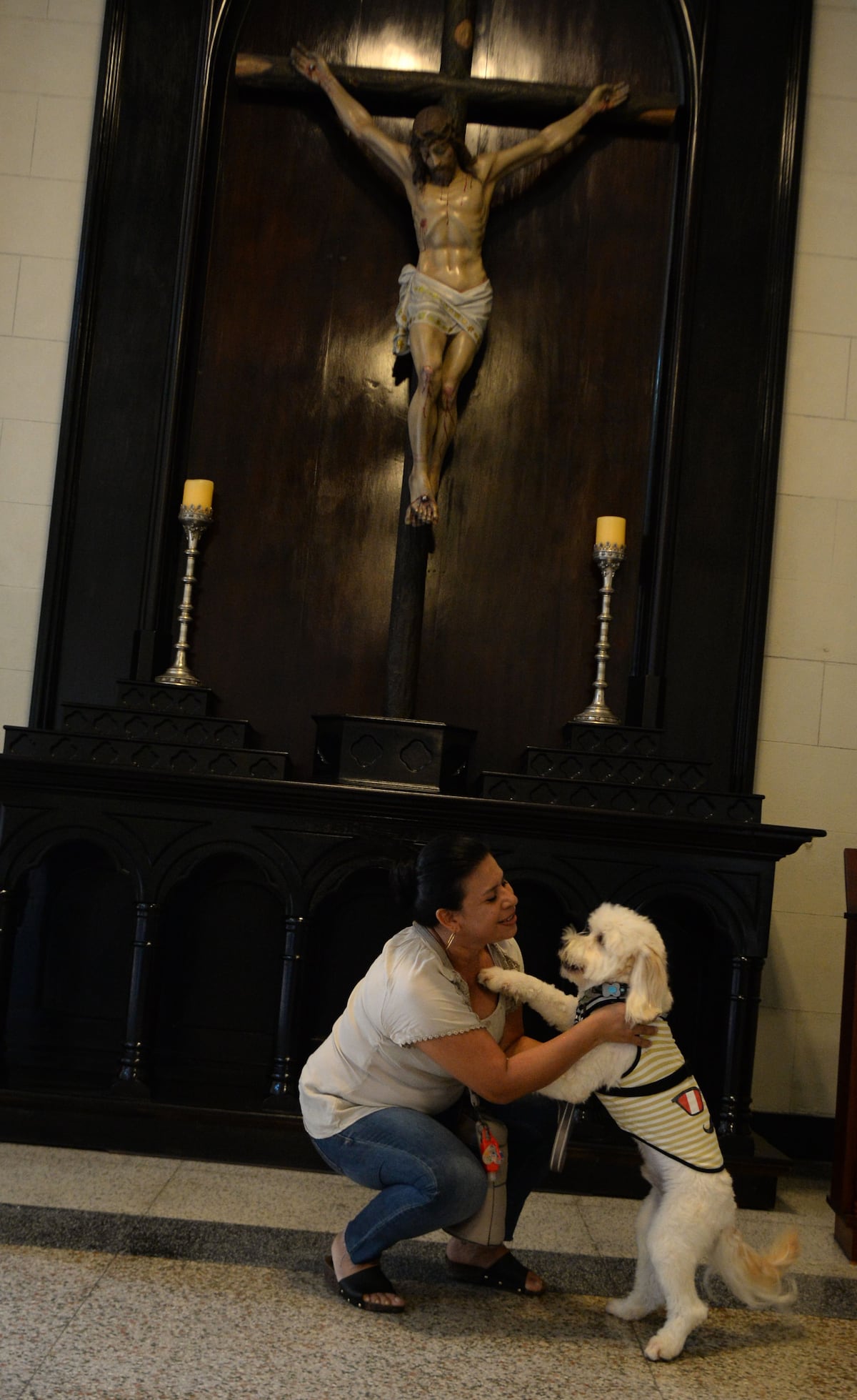 Una misa para la bendición de animales en la parroquia  San Francisco de Asís en San Felipe