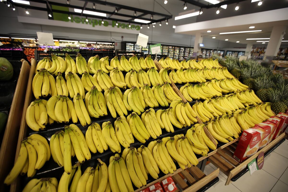 Alerta. Cinco alimentos que debes evitar frente a un problema digestivo