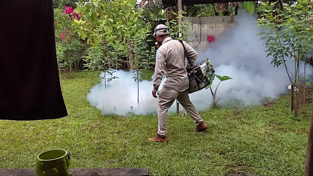 Bocas del Toro y Colón son las provincias con más casos de dengue