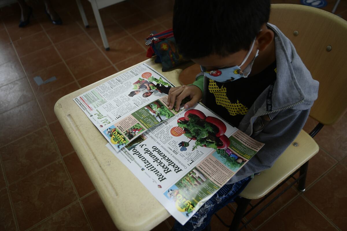 A cultivar desde la comodidad de su casa 