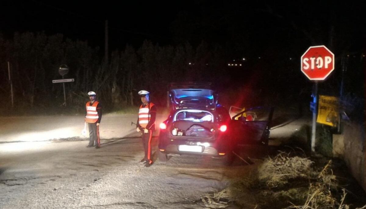 ¡INSÓLITO!Desmantelan en Italia y Alemania a mafias que controlaban hasta el pan