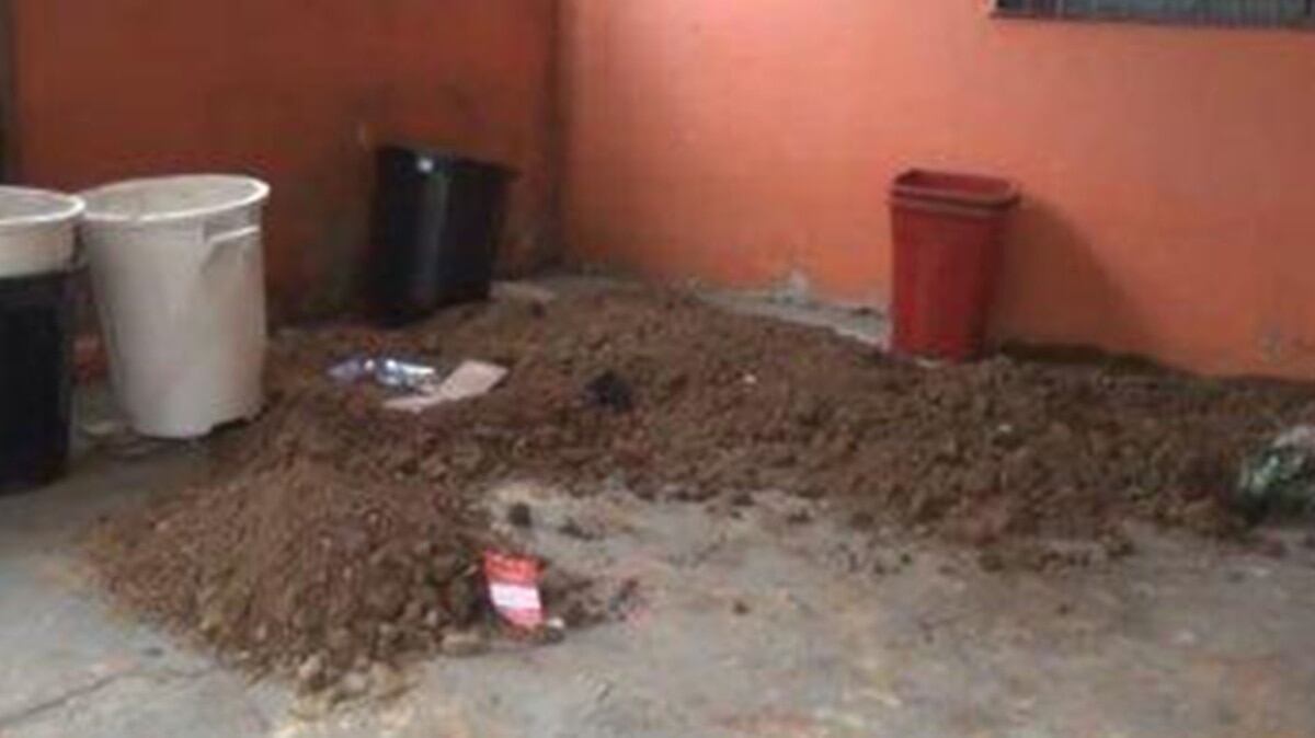 Macabro: Dos abuelos asesinan a su ex nuera para quedarse con sus nietos