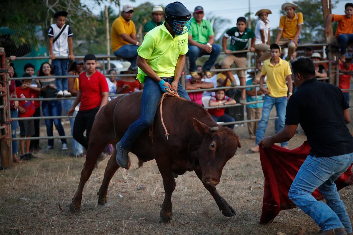 Fuerza y rapidez para montar toros, atracción del Festival Folclórico Nacional de La Mitra