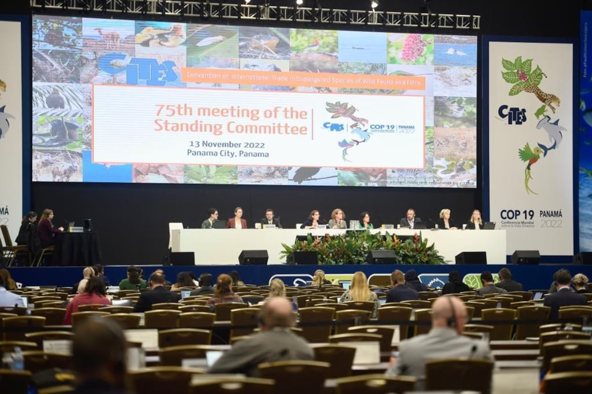 Este lunes se inaugura en Panamá la conferencia sobre especies amenazadas