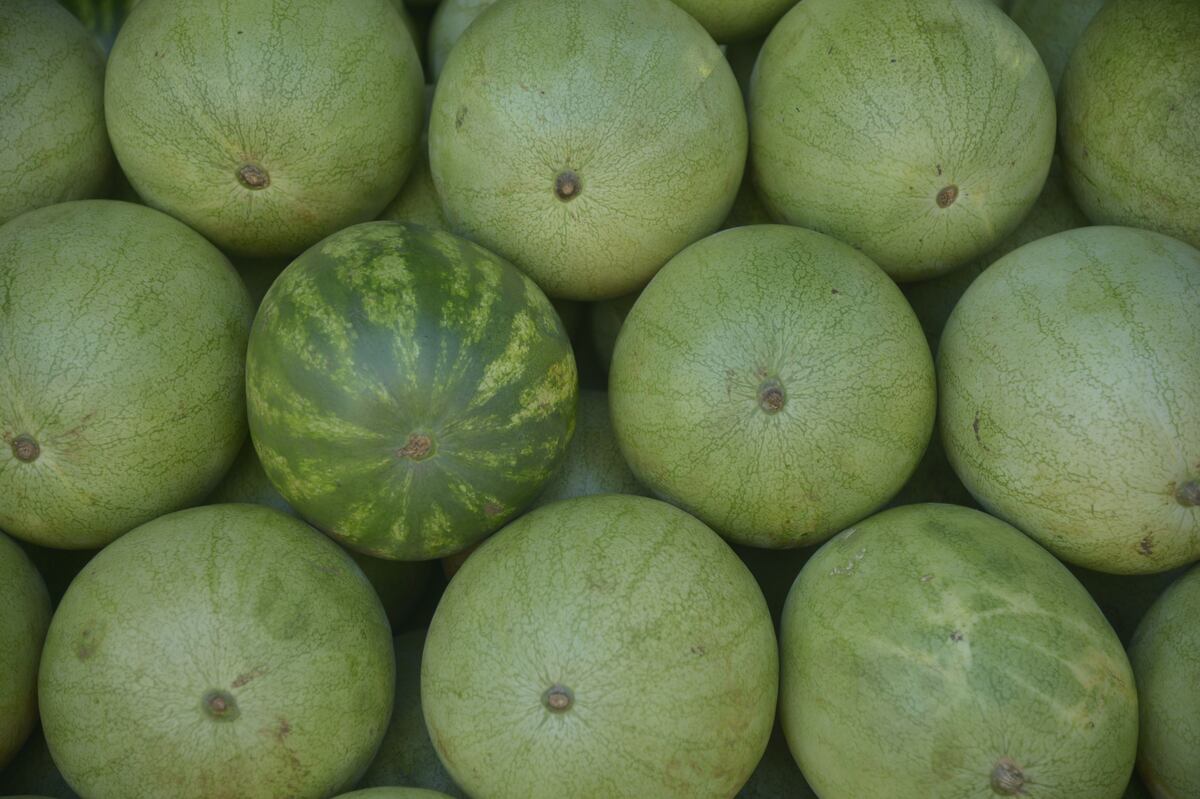 Temporada seca a la vuelta de la esquina 