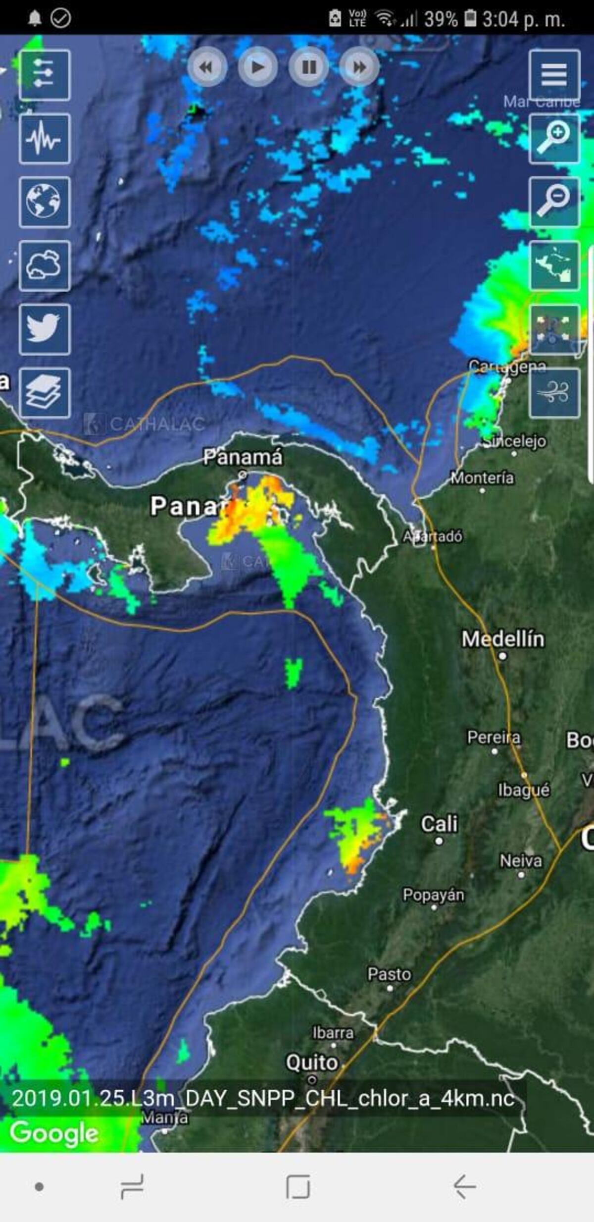 Afloramiento de algas puede estar afectando a los peces en Amador