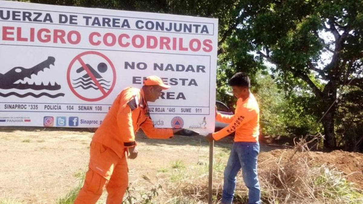 NO SE META A LOCO. Cocodrilos siguen sueltos, no vaya a este río