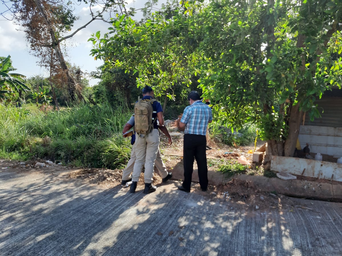 Y no son lagartos. Ministerio Público confirma que joven que fue encontrado desmembrado en La Chorrera fue asesinado