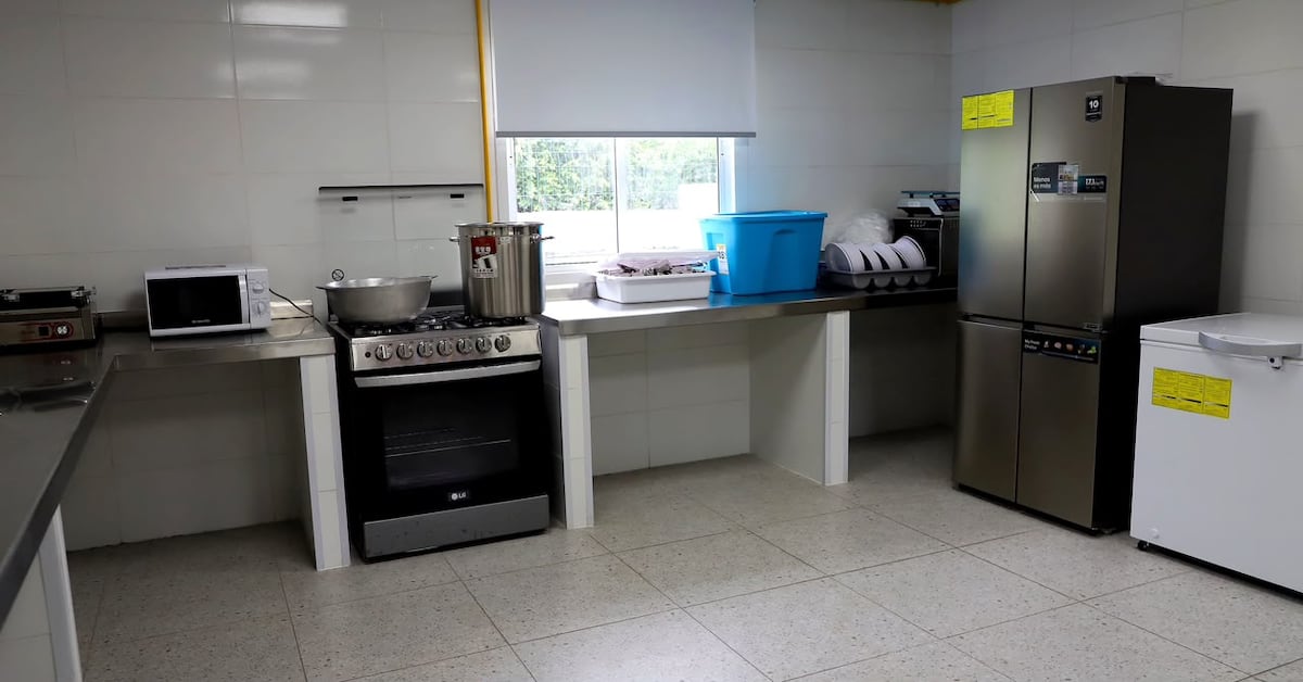 Más de 800 niños recibirán comida balanceada en los CEDI de la capital