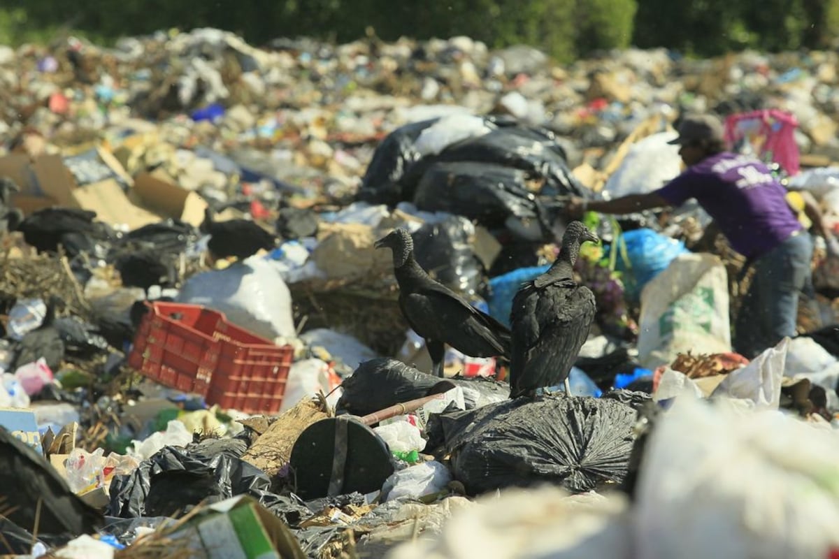 Confirman hallazgo del cuerpo sin vida de un venezolano en un vagón de un camión de basura