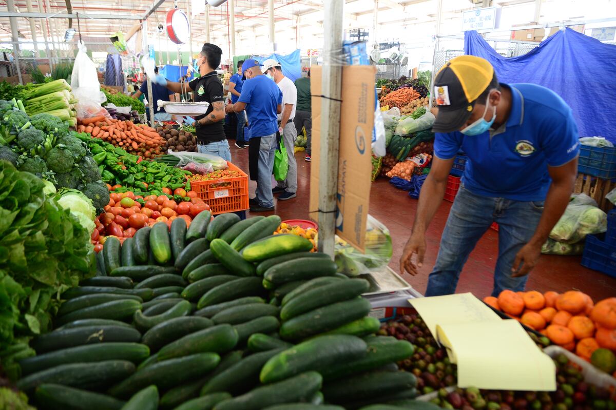 Consejos de la FAO para la alimentación en tiempos de la covid-19